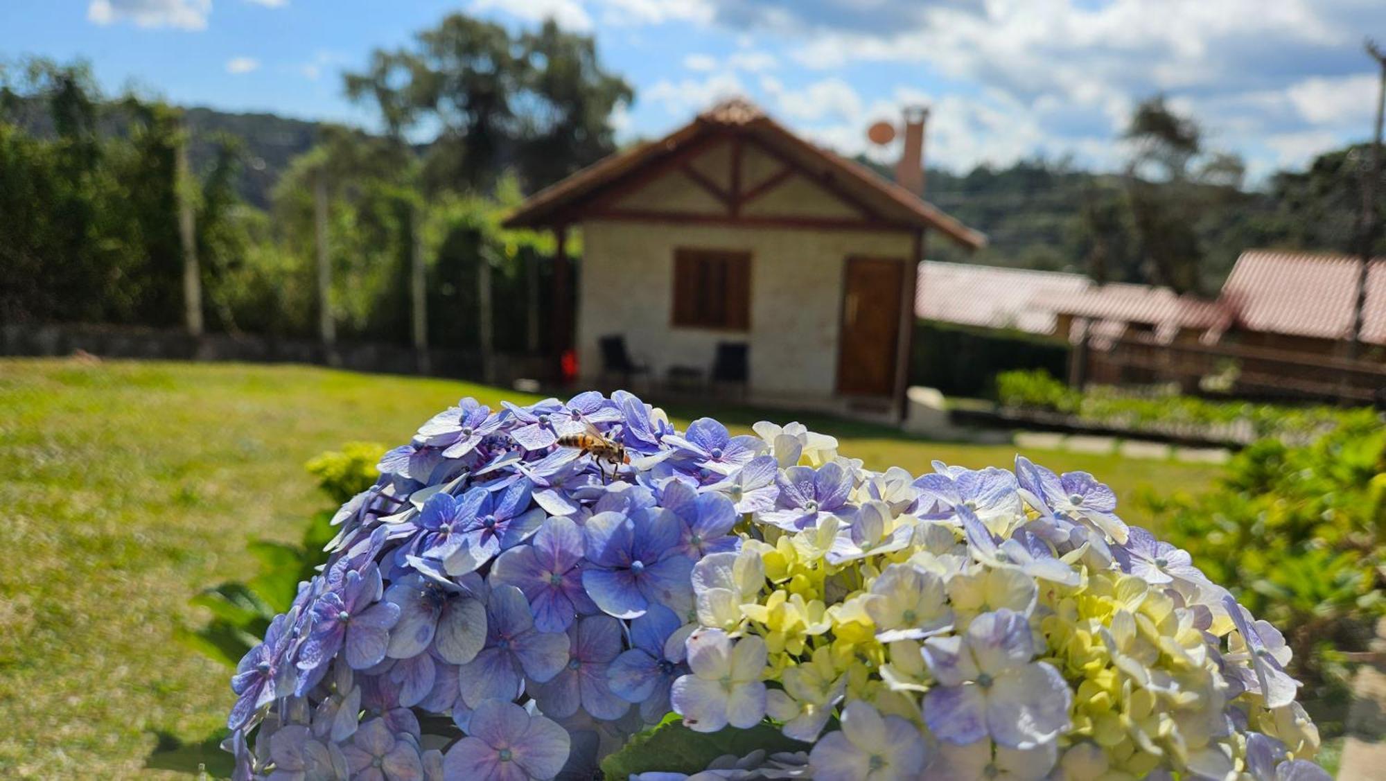 Chale Gosto Da Roca Villa Monte Verde  Eksteriør billede